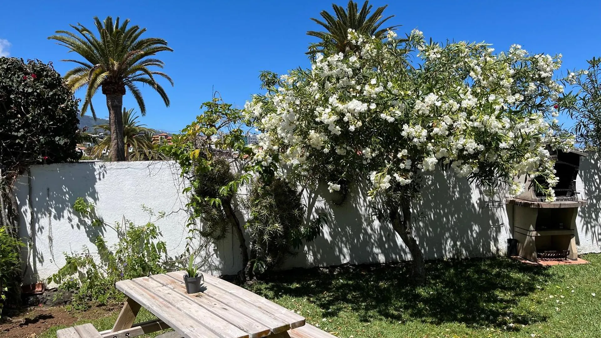 Holiday home Casa Janni With Heated Private Pool Villa Puerto de la Cruz